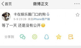 全网吃瓜爆料公众号是什么,揭秘娱乐圈幕后真相